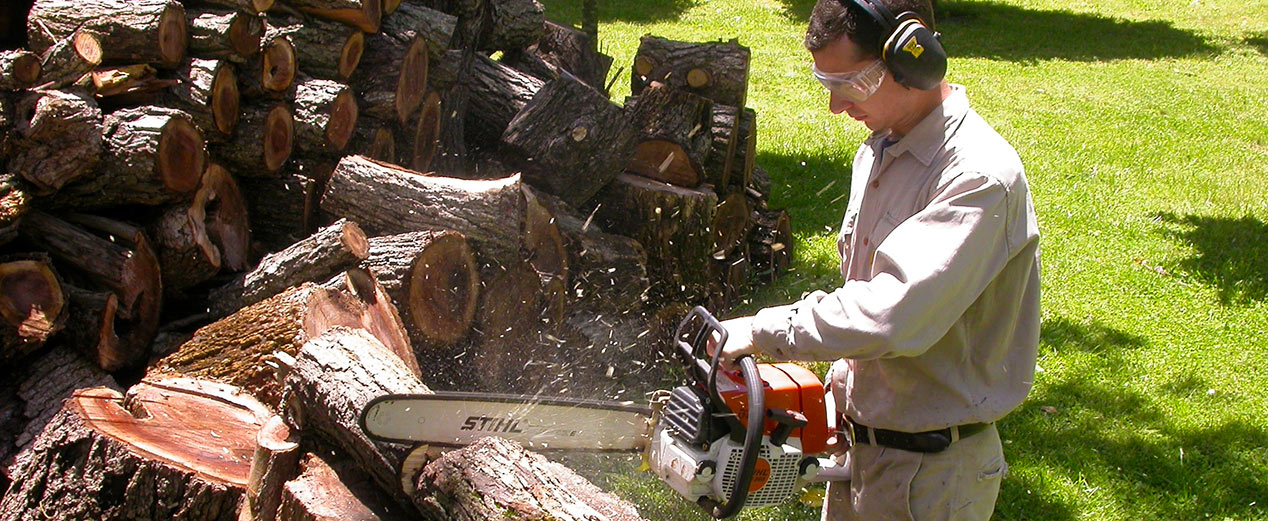 cortando-troncos