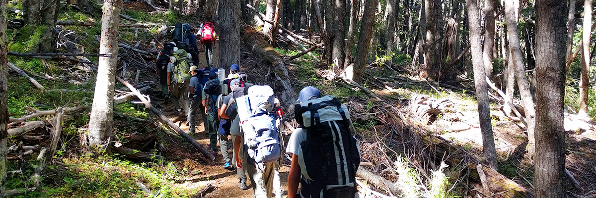 caminata-en-el-bosque