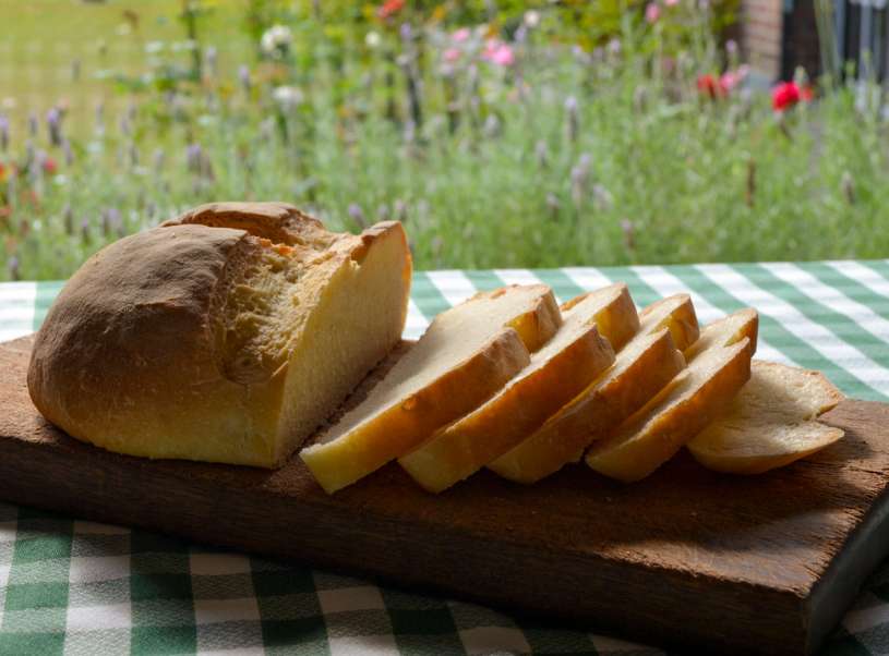 panederia13 horno pan